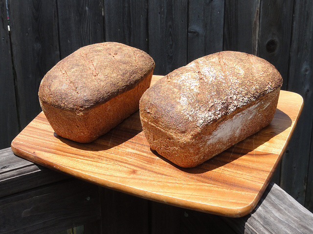 Whole wheat bread loaves